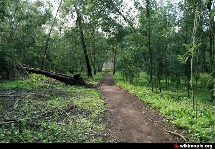 Forêt De Temara - photo 3
